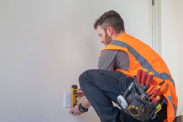 Best Electric Panel Repair  in Bishopville, SC